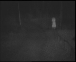 Nástup na běžecké tratě