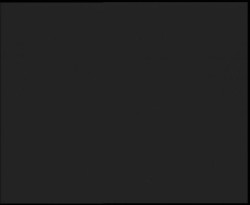 Nástup na běžecké tratě