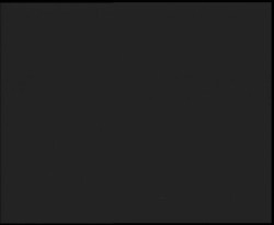 Nástup na běžecké tratě