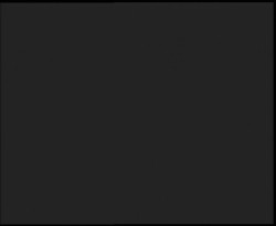 Nástup na běžecké tratě