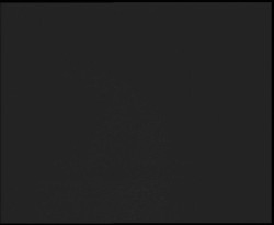 Nástup na běžecké tratě