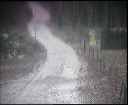 Nástup na běžecké tratě