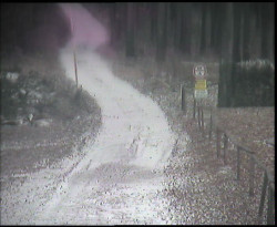 Nástup na běžecké tratě