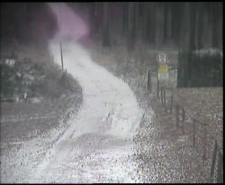 Nástup na běžecké tratě