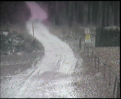 Nástup na běžecké tratě