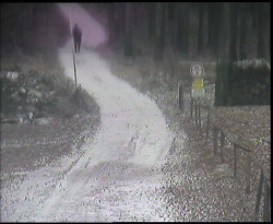 Nástup na běžecké tratě