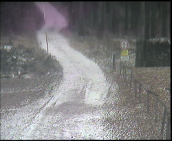 Nástup na běžecké tratě