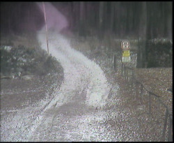 Nástup na běžecké tratě