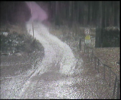 Nástup na běžecké tratě