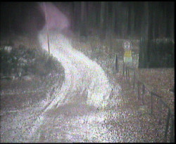 Nástup na běžecké tratě