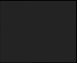 Nástup na běžecké tratě