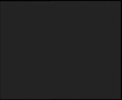 Nástup na běžecké tratě