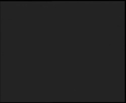 Nástup na běžecké tratě