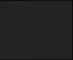 Nástup na běžecké tratě