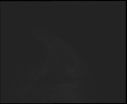 Nástup na běžecké tratě