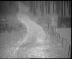 Nástup na běžecké tratě