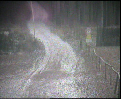 Nástup na běžecké tratě