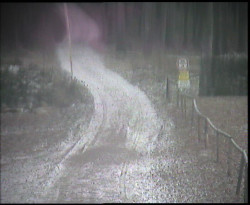 Nástup na běžecké tratě