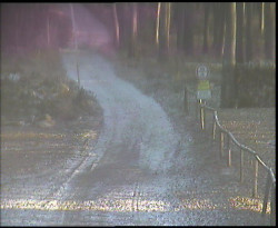 Nástup na běžecké tratě