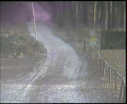 Nástup na běžecké tratě