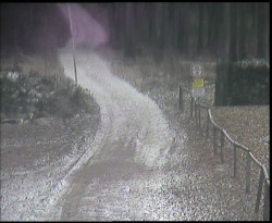 Nástup na běžecké tratě