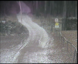 Nástup na běžecké tratě