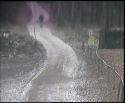 Nástup na běžecké tratě