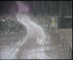 Nástup na běžecké tratě