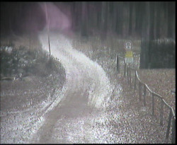 Nástup na běžecké tratě