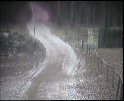 Nástup na běžecké tratě