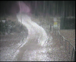 Nástup na běžecké tratě