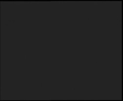 Nástup na běžecké tratě