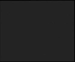 Nástup na běžecké tratě