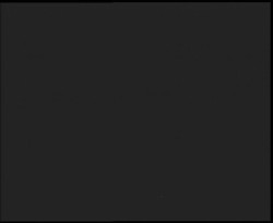 Nástup na běžecké tratě