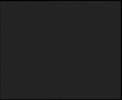 Nástup na běžecké tratě