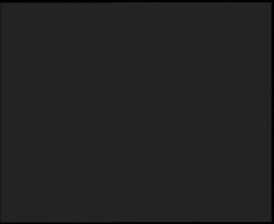 Nástup na běžecké tratě