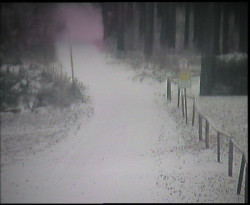 Nástup na běžecké tratě