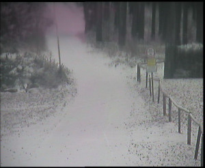 SkiAreál - Horský hotel Vsacký Cáb - Nástup na běžecké tratě - 30.12.2025 v 08:15 SkiAreál - Horský hotel Vsacký Cáb - Nástup na běžecké tratě - 30.12.2025 v 08:15