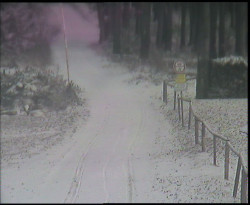 Nástup na běžecké tratě