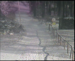 Nástup na běžecké tratě