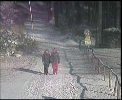 Nástup na běžecké tratě