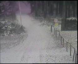 Nástup na běžecké tratě