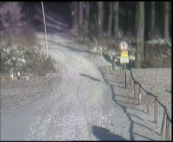 Nástup na běžecké tratě