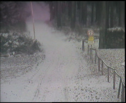 Nástup na běžecké tratě