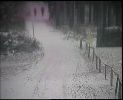 Nástup na běžecké tratě