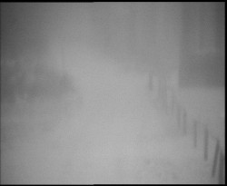 Nástup na běžecké tratě