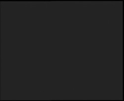 Nástup na běžecké tratě