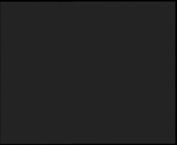 Nástup na běžecké tratě