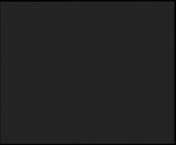 Nástup na běžecké tratě