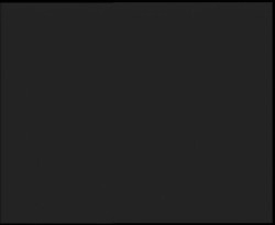 Nástup na běžecké tratě